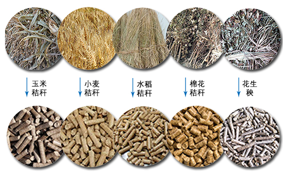 秸稈顆粒機(jī)適用原料 秸稈顆粒機(jī)適用原料
